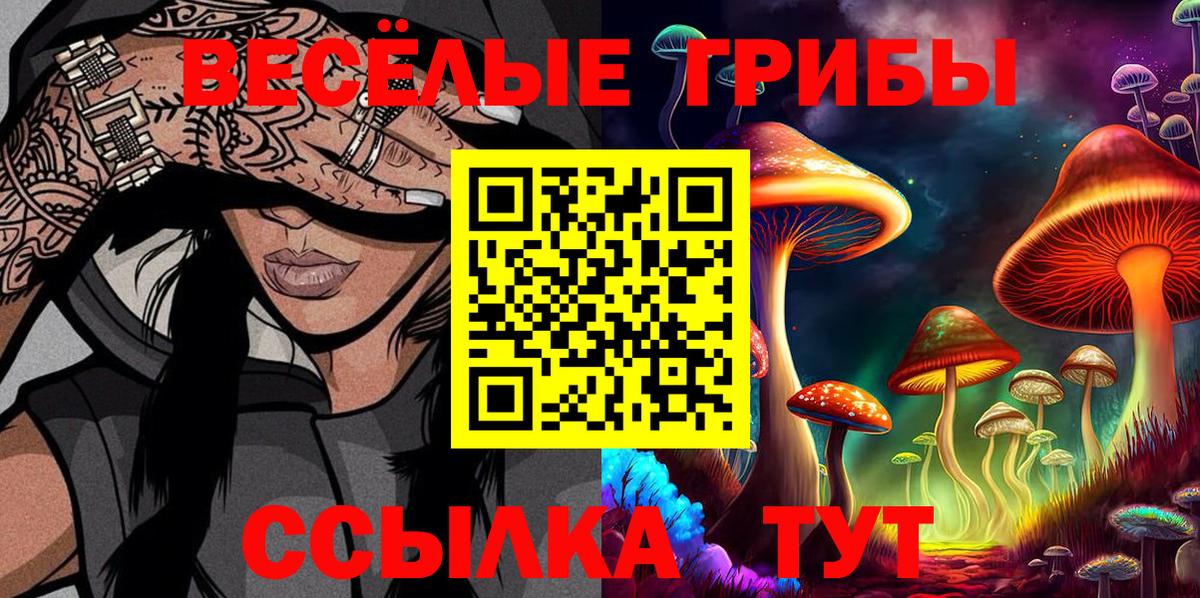 Псилоцибиновые грибы прущие грибы  Вход с VPN  Псилоцибиновые грибы Magic Shrooms  Тулун 